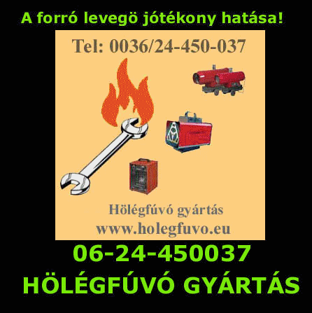 GÁZOLAJOS HŐLÉGBEFÚVÓK! www.akcios.holegfuvok.com